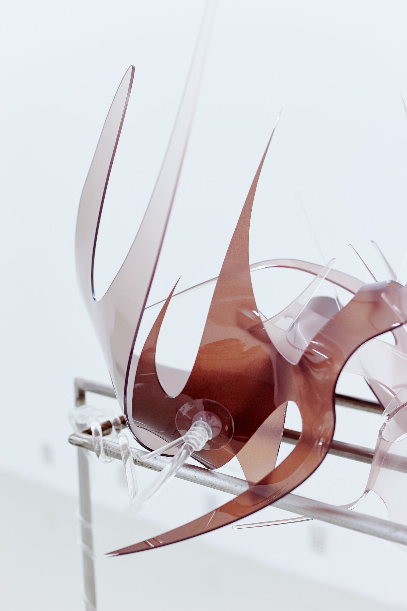 Studio Szilvia Bolla