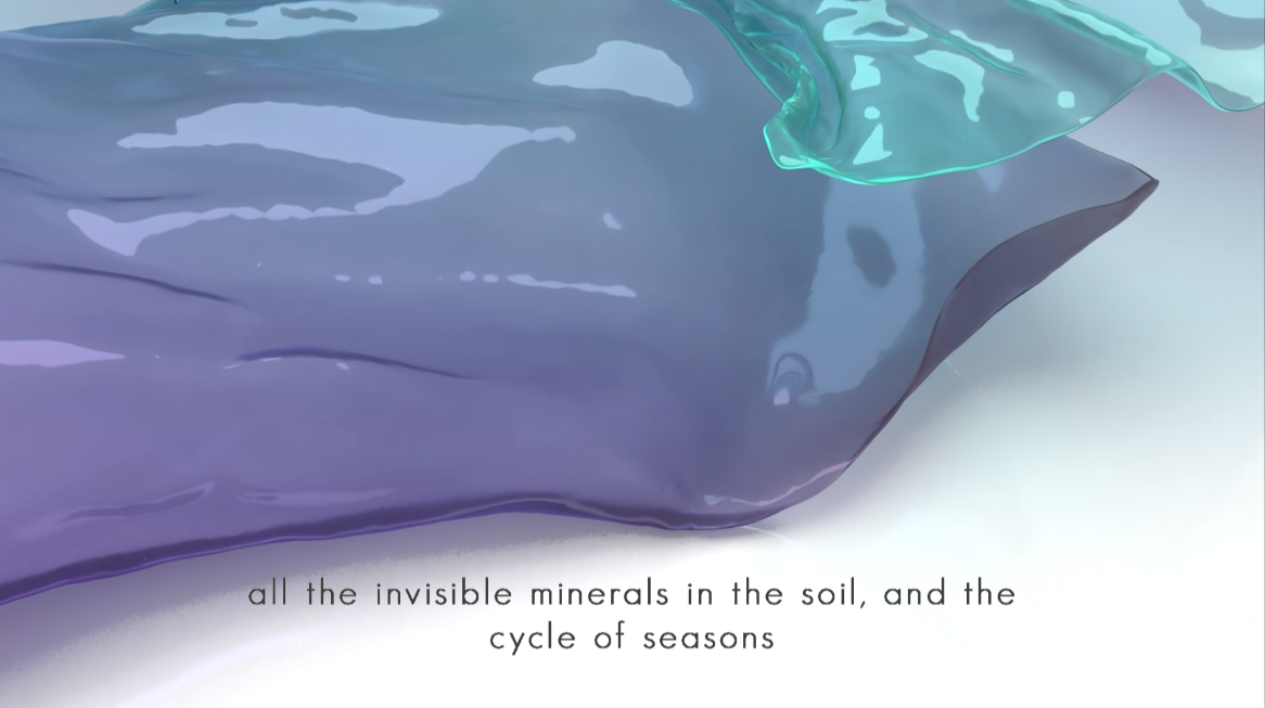 Studio Szilvia Bolla