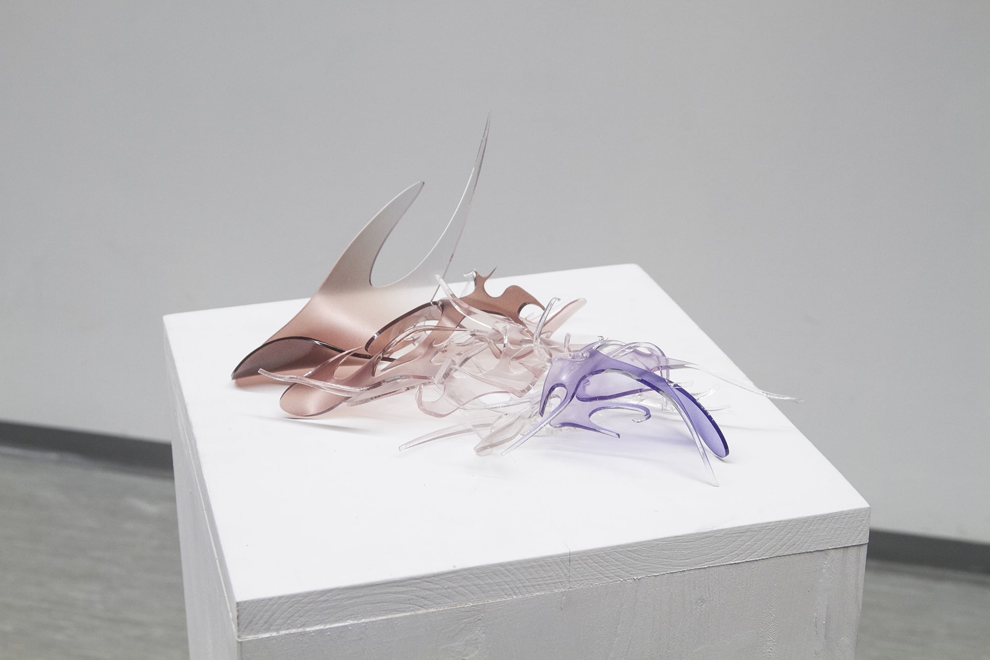 Studio Szilvia Bolla