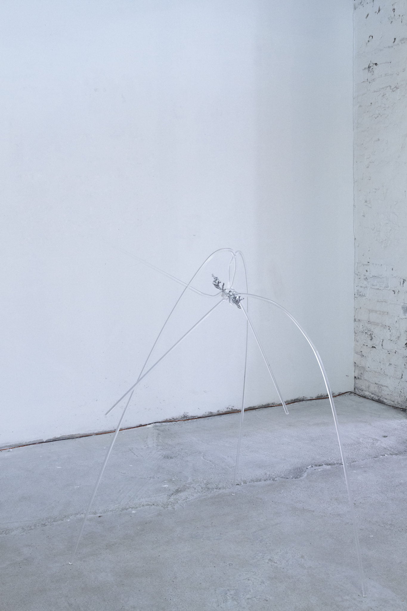 Studio Szilvia Bolla