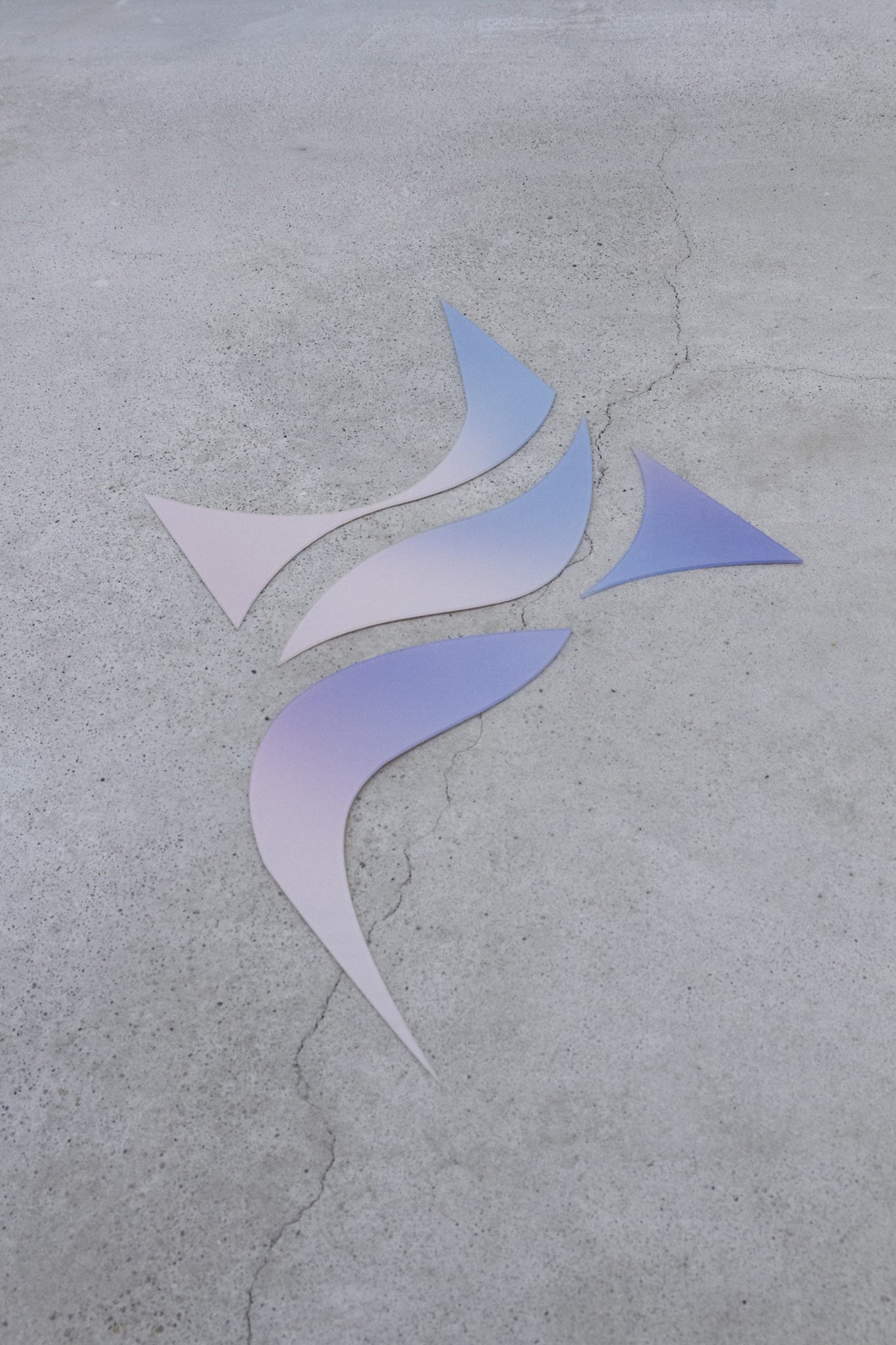 Studio Szilvia Bolla