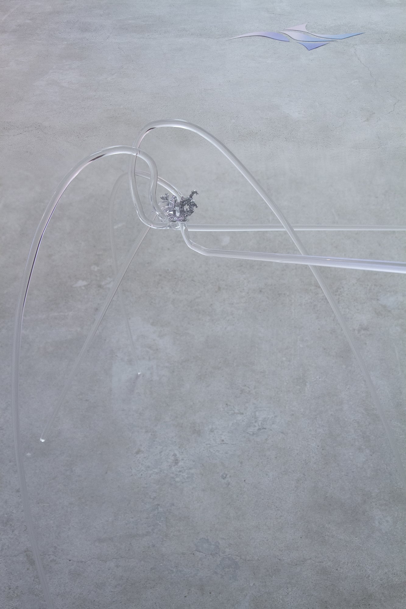 Studio Szilvia Bolla