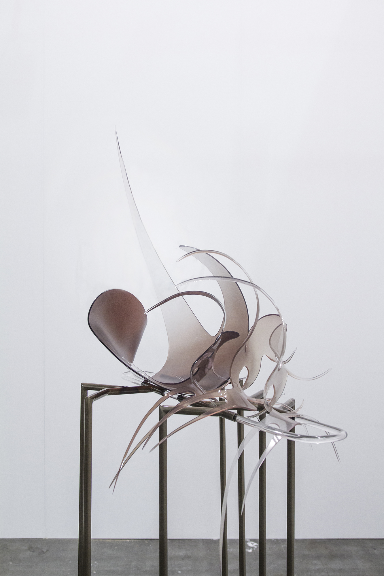 Studio Szilvia Bolla