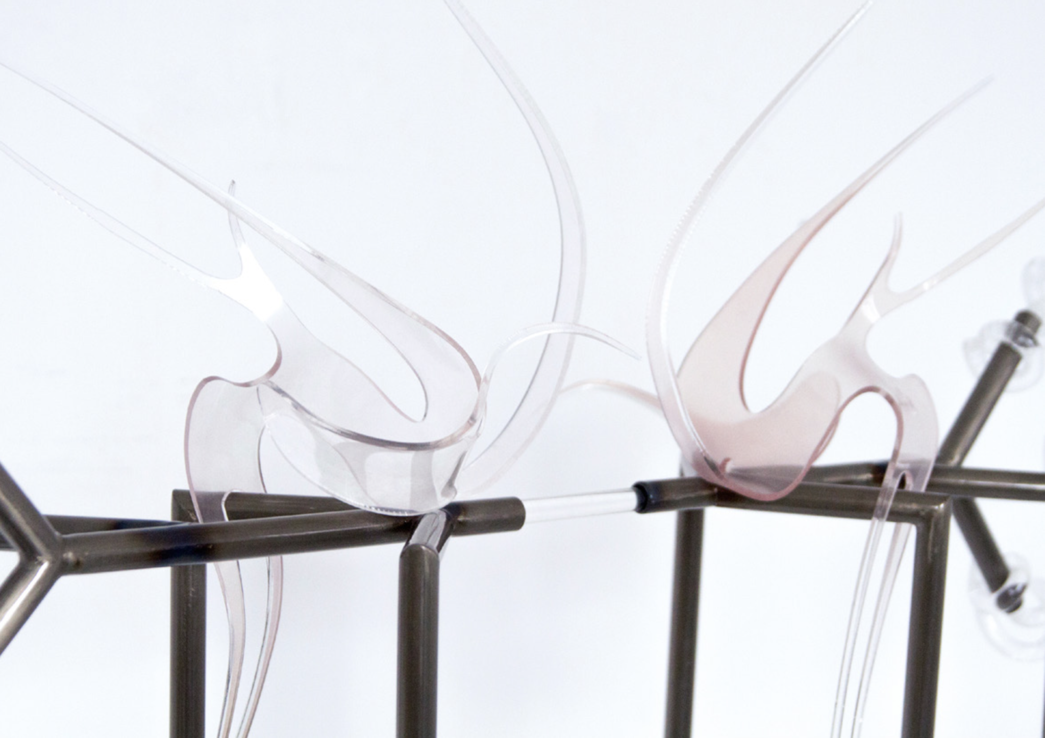 Studio Szilvia Bolla