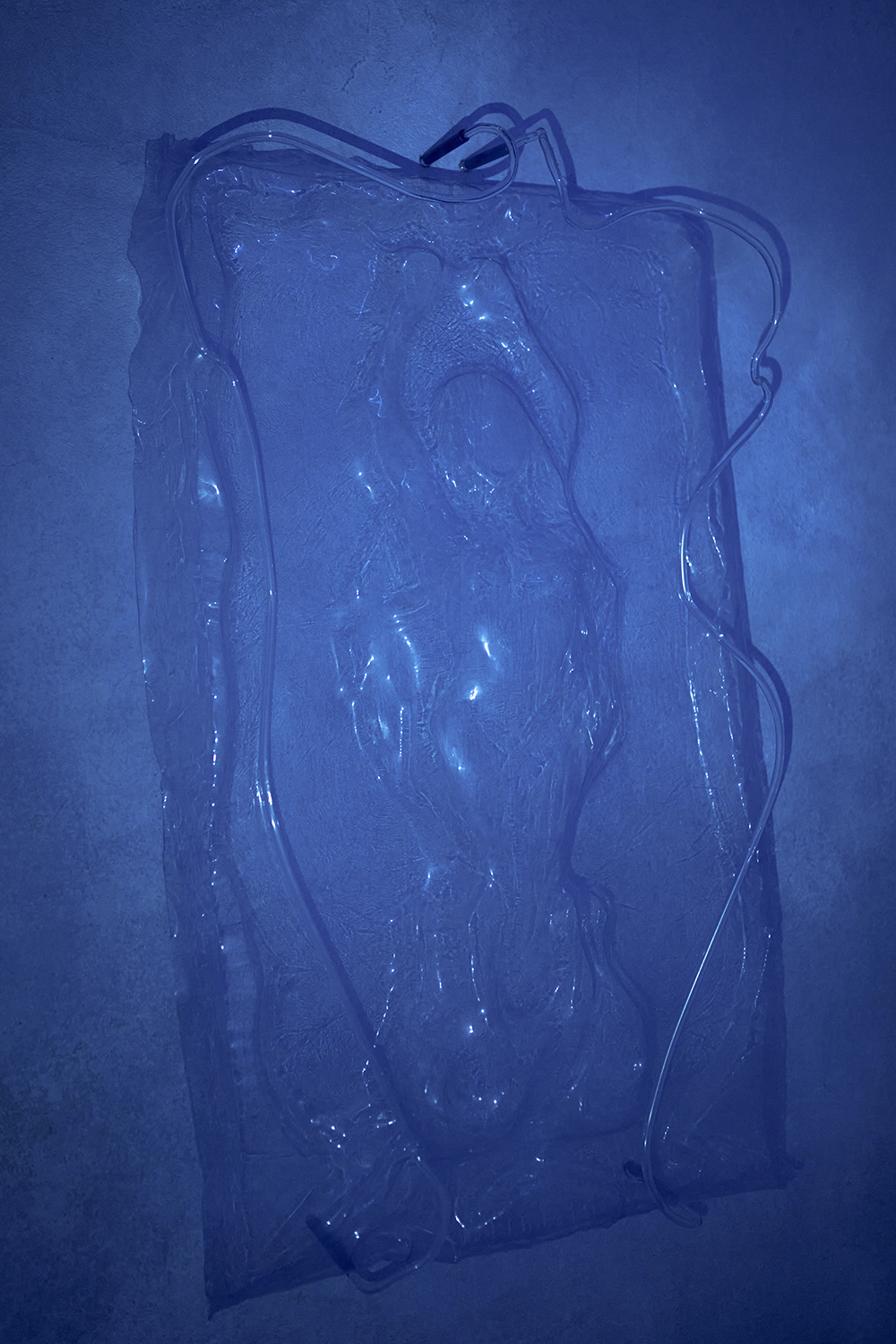 Studio Szilvia Bolla