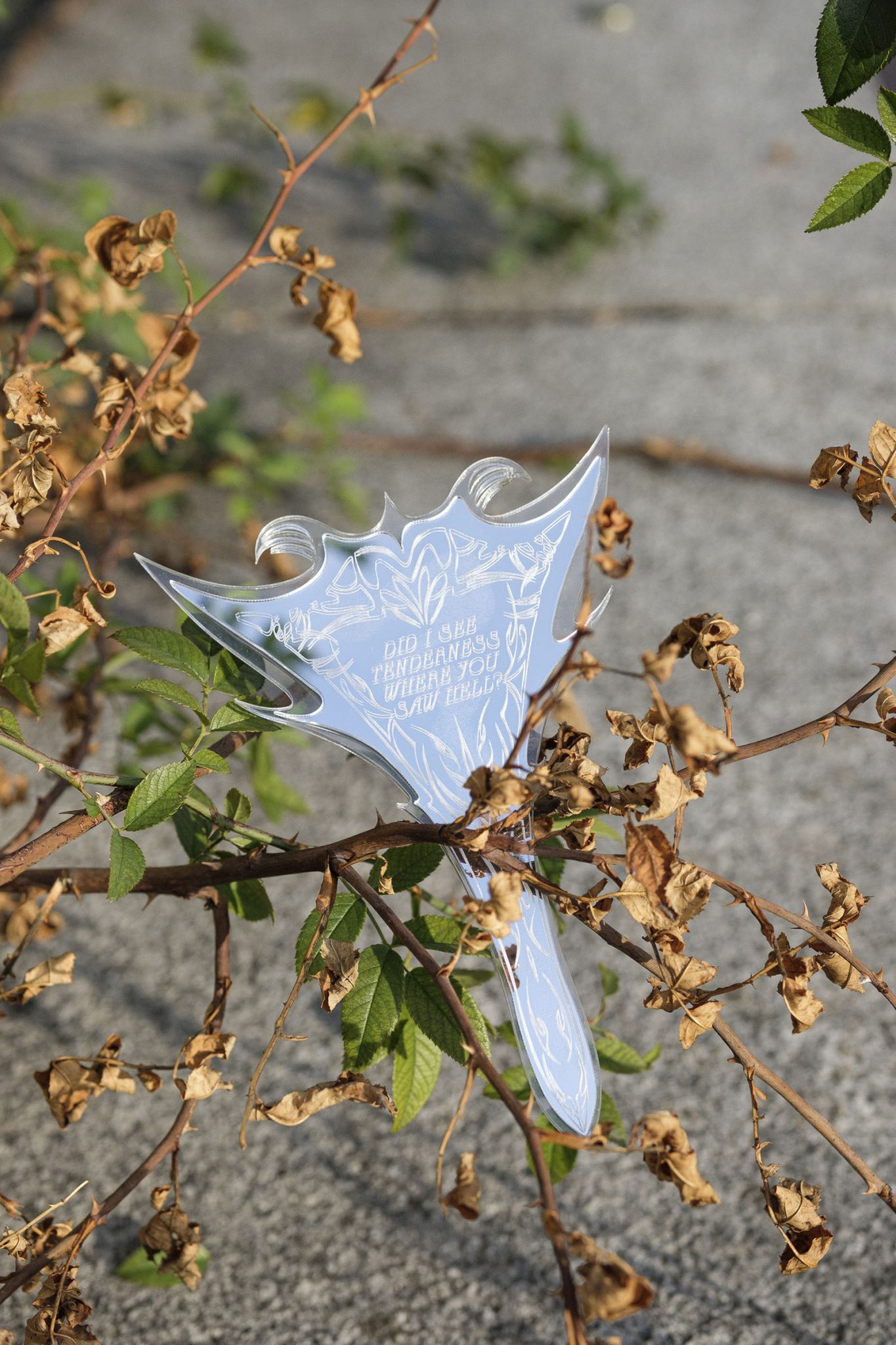 Studio Szilvia Bolla