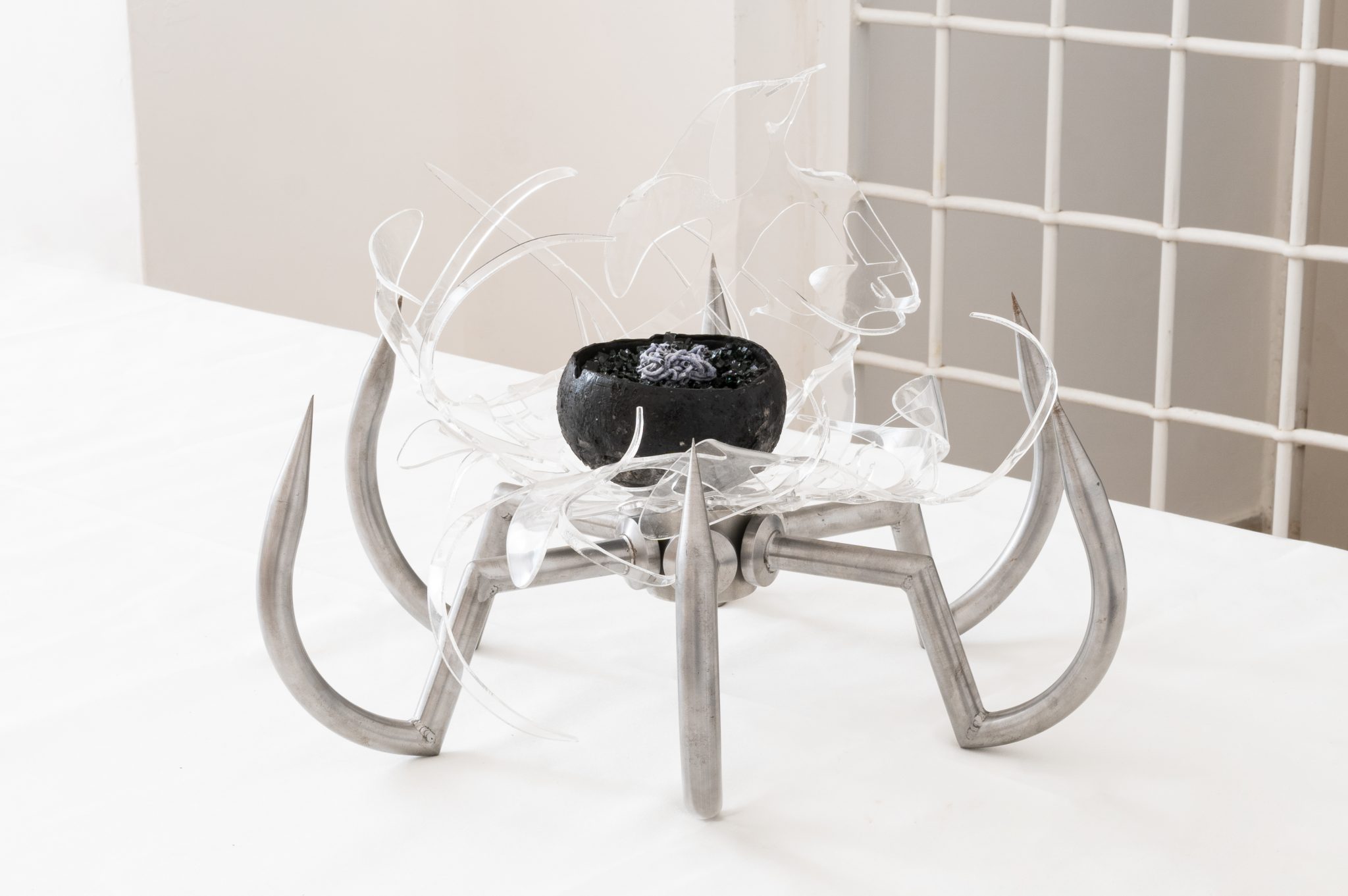 Studio Szilvia Bolla