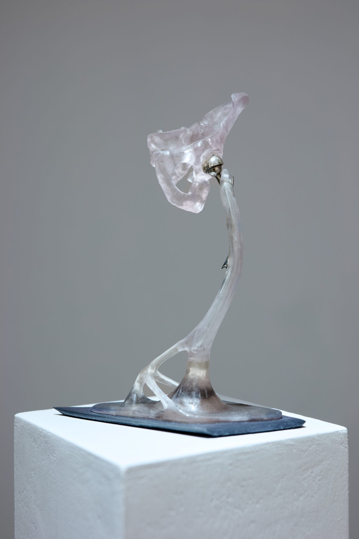 Studio Szilvia Bolla