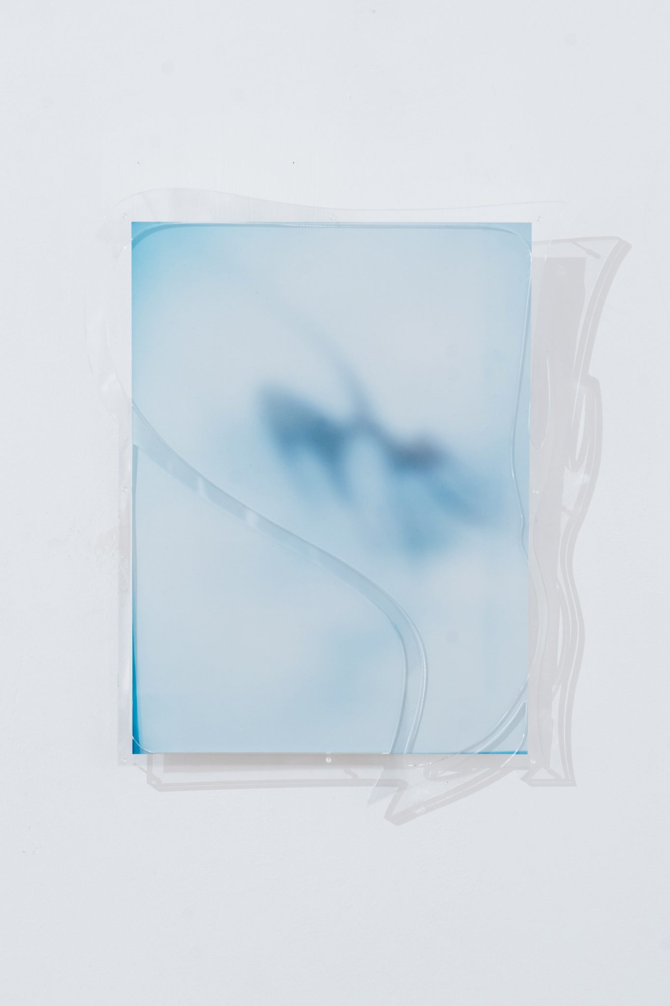 Studio Szilvia Bolla