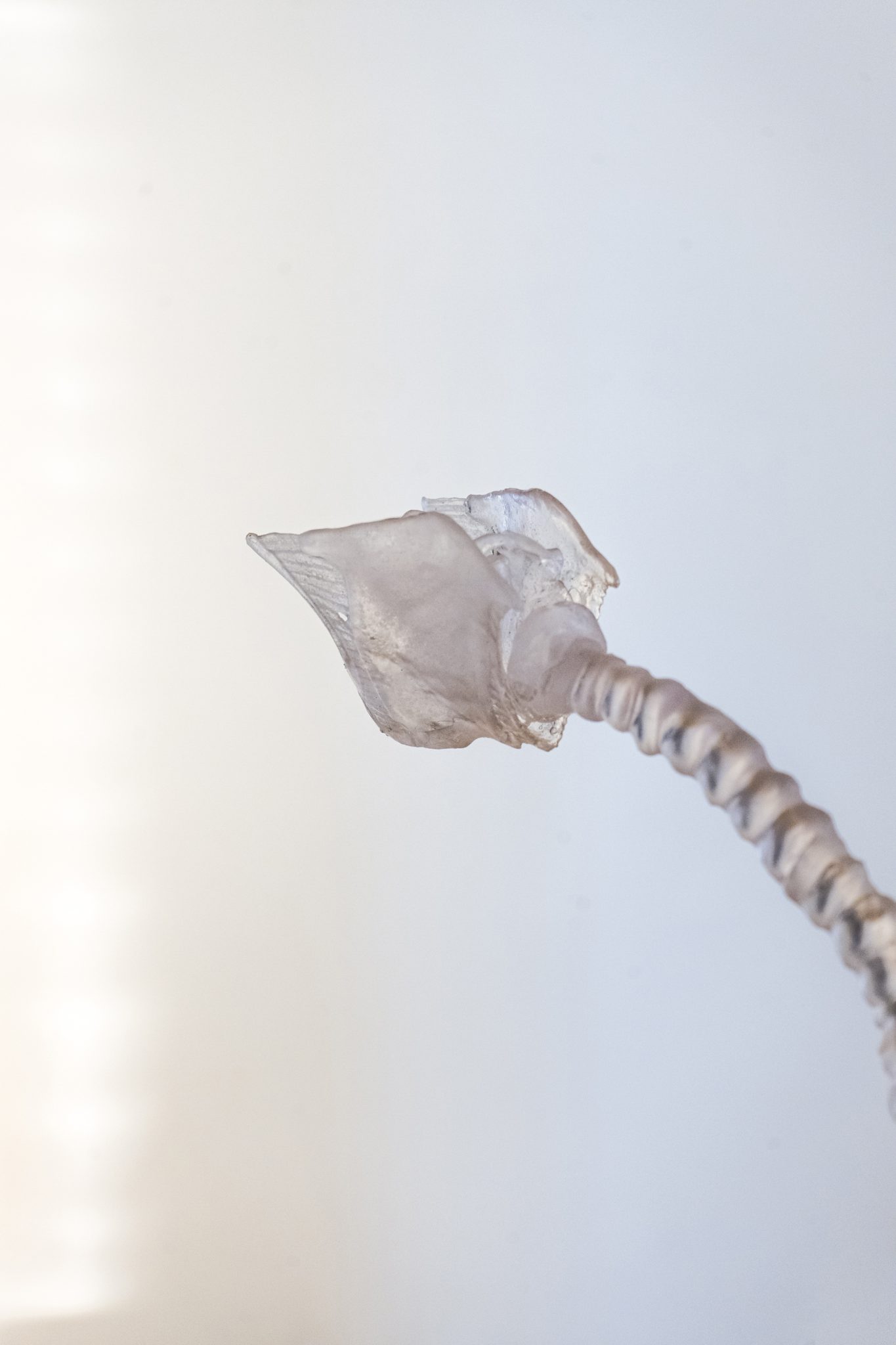 Studio Szilvia Bolla