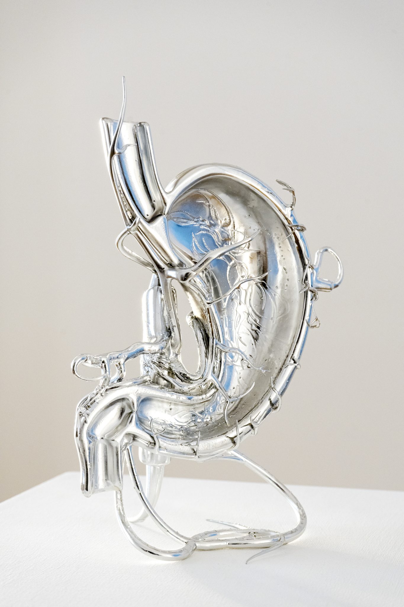 Studio Szilvia Bolla