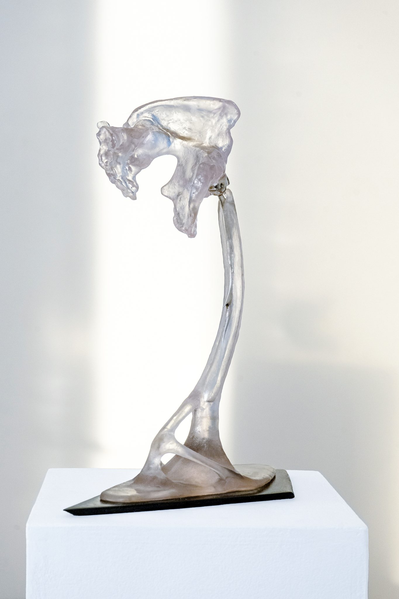 Studio Szilvia Bolla