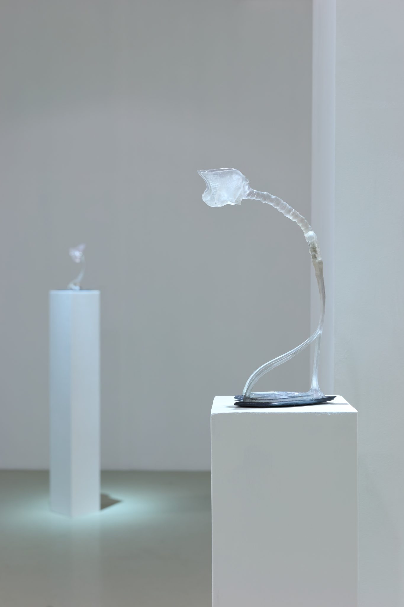 Studio Szilvia Bolla