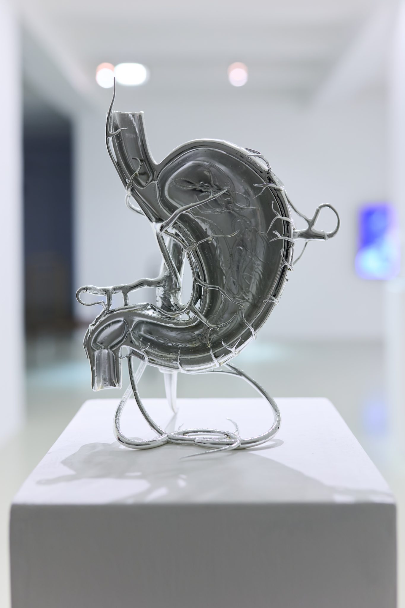 Studio Szilvia Bolla