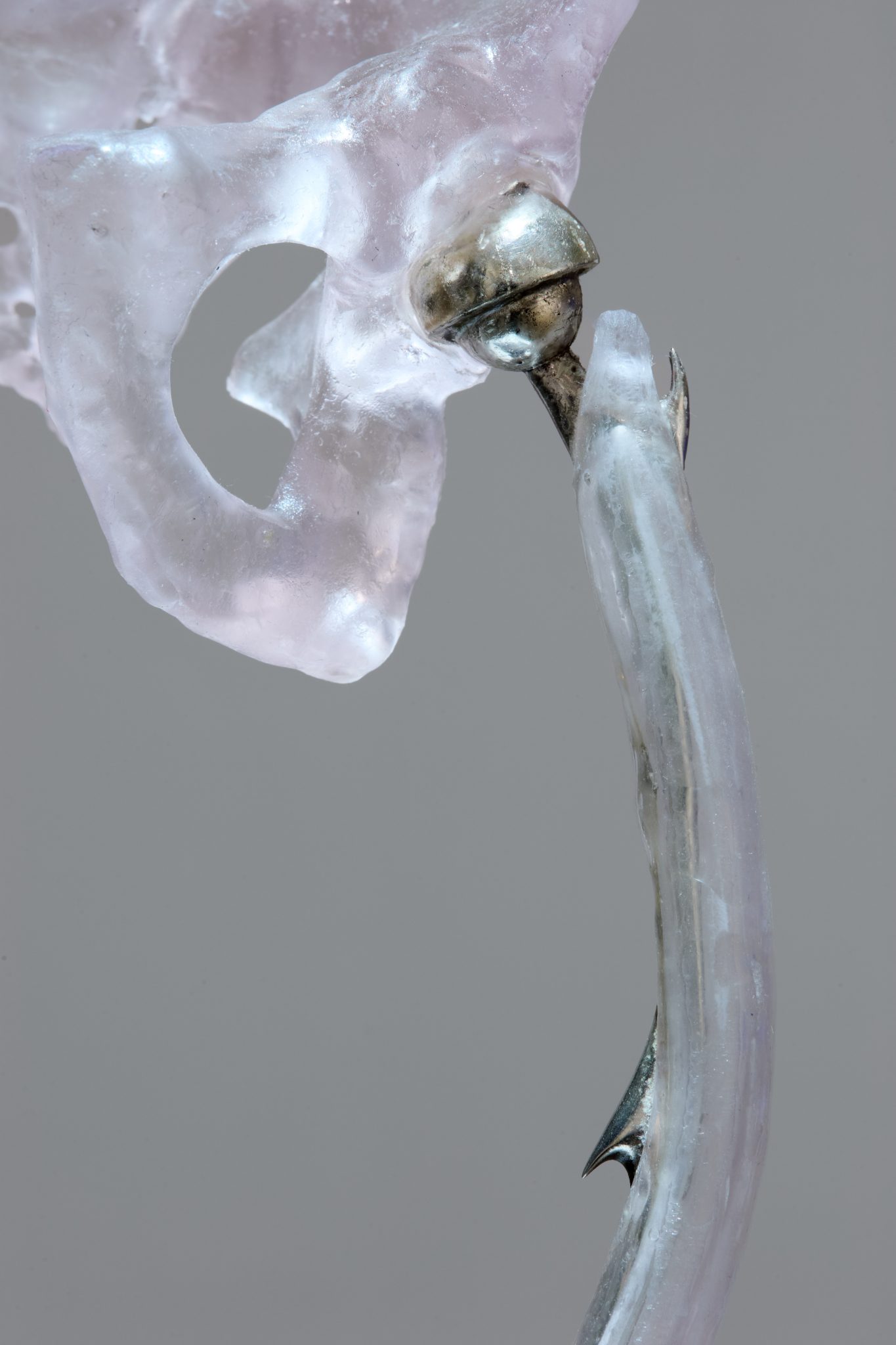 Studio Szilvia Bolla