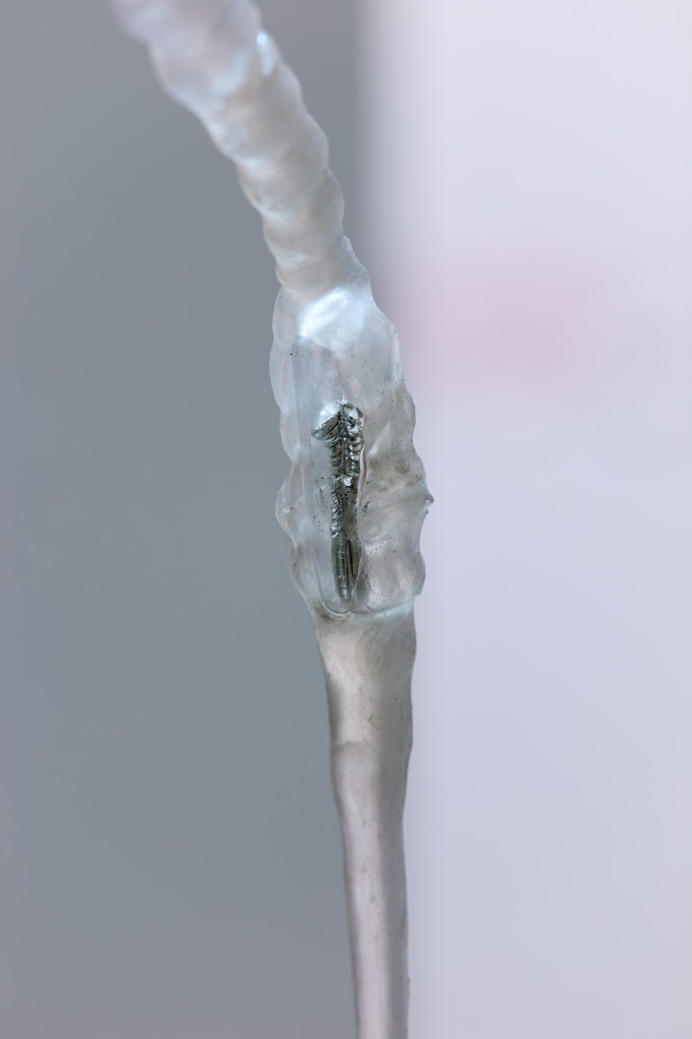 Studio Szilvia Bolla