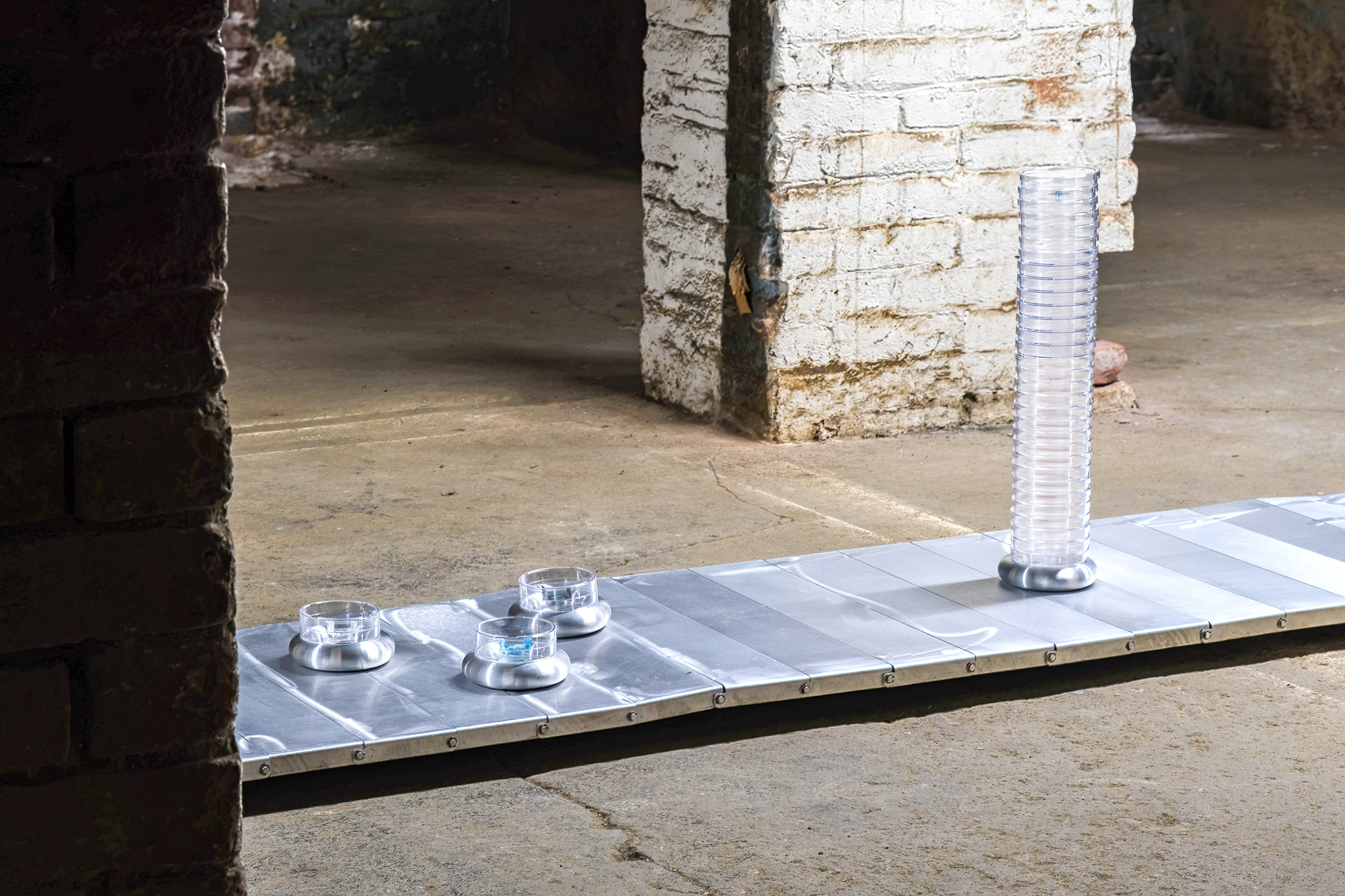 Studio Szilvia Bolla